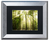 PIPA Fine Art 'Sunrays Through Treetops' Matted Framed Art, 14x11