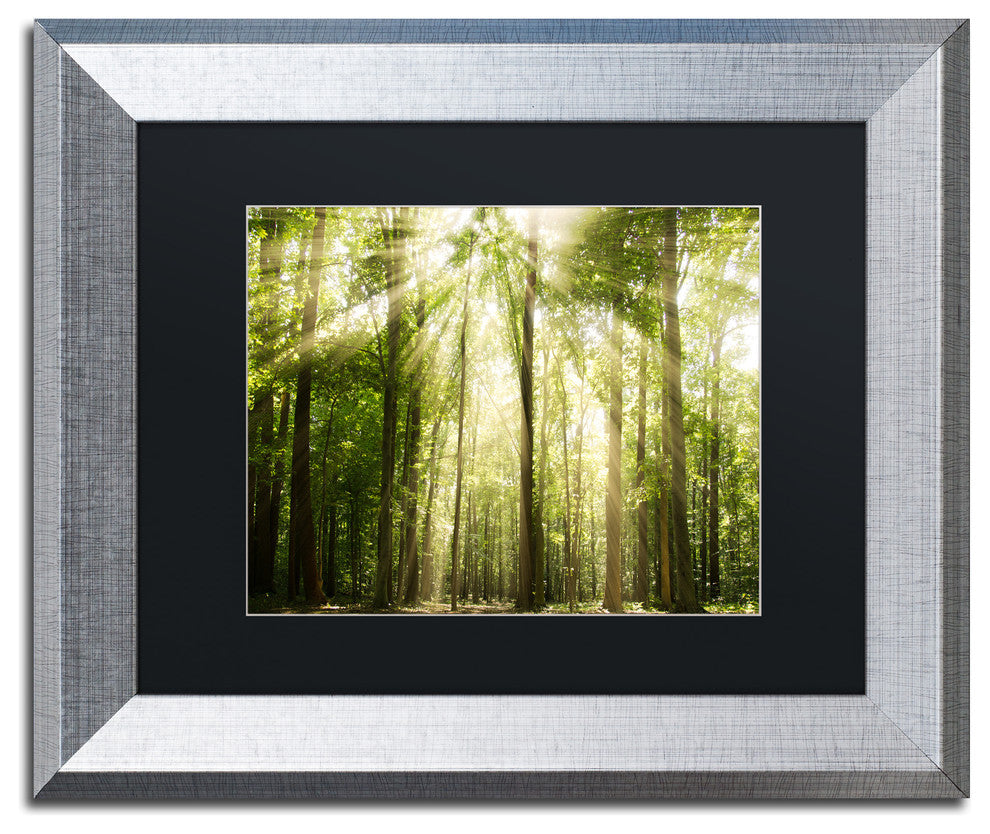 PIPA Fine Art 'Sunrays Through Treetops' Matted Framed Art, 14x11