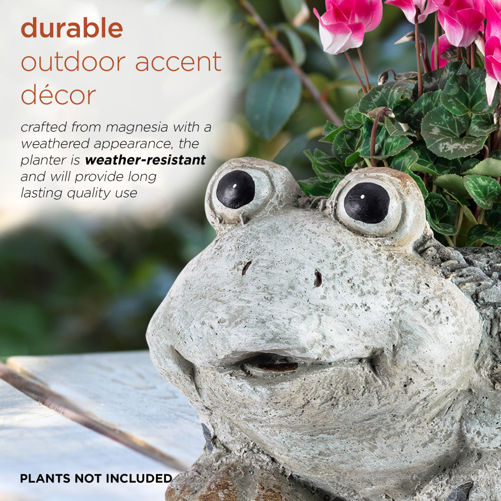 Frog Planter, 11"