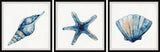 Starfish and Shells Triptych, 3-Piece Set, 12x12 Panels