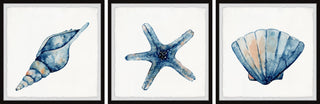 Starfish and Shells Triptych, 3-Piece Set, 12x12 Panels