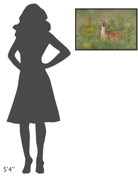 "Fragrance Of Summer" Framed Canvas Giclee by Nick Kalathas, 25x17"