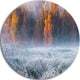 Grey Hoarfrost Design By Winter, Landscape Round Wall Art, 36"
