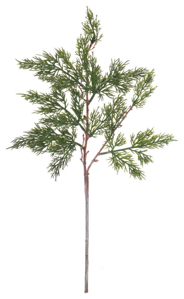 Pine Spray, Set of 12