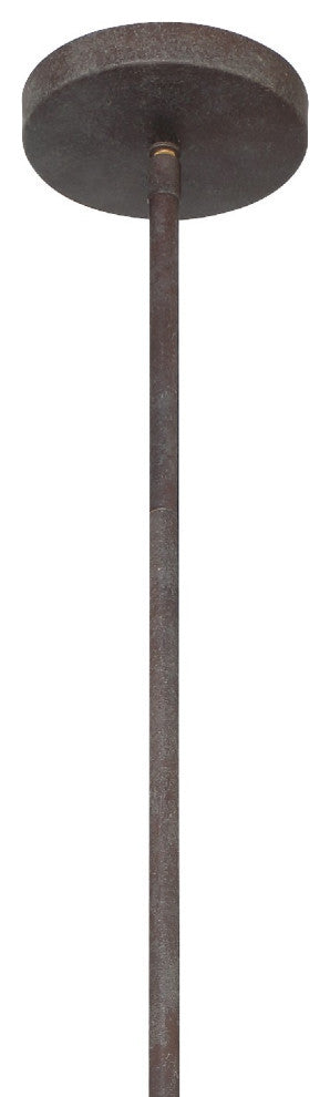 Jasmine 1 Light Forged Bronze Pendant