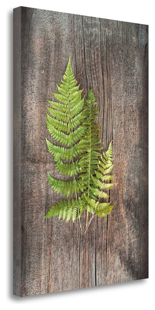 "Woodland Fern III" By Sue Schlabach, Giclee Print on Gallery Wrap Canvas