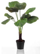 Faux Fan Palm Deco | Emerald Licuala