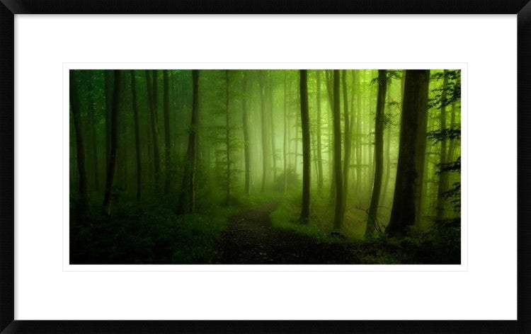 "Spring Promise" Framed Digital Print by Norbert Maier, 30"x19"