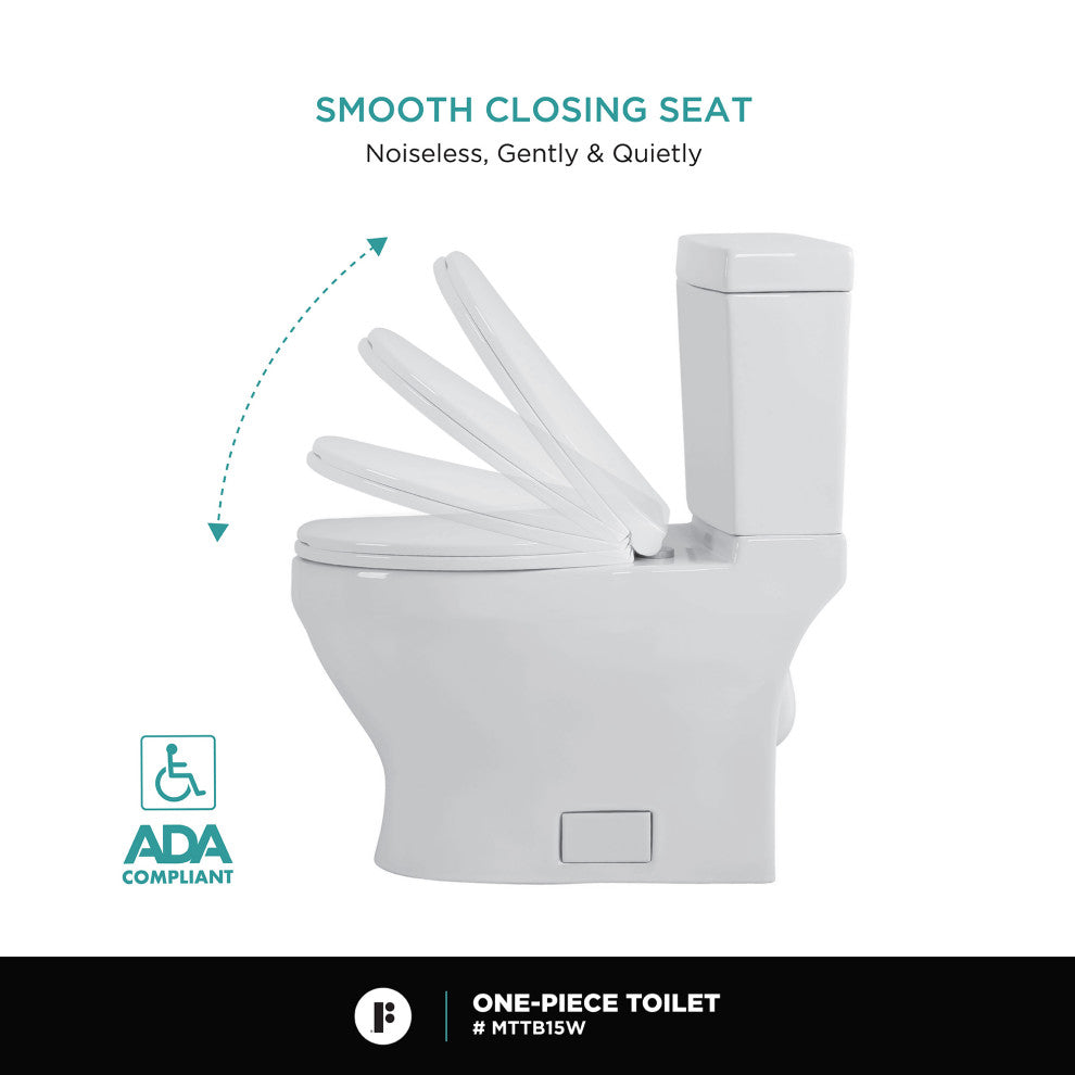 Fine Fxitures Modern Two Piece Elongated Toilet Ada Compliant