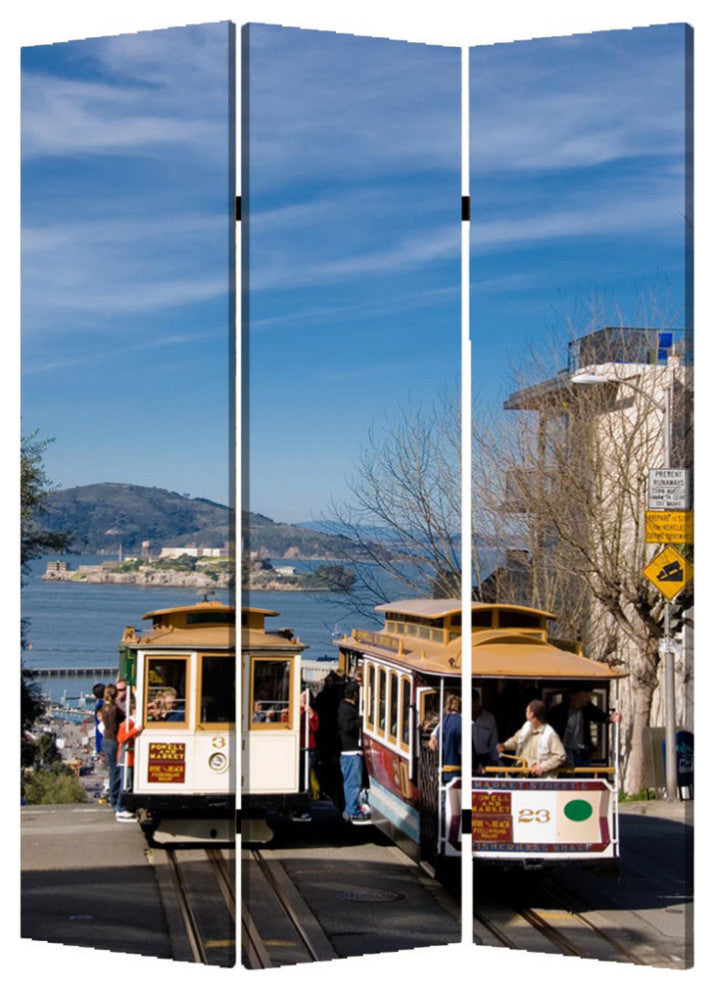 48" X 72" Multi Color Wood Canvas San Francisco  Screen