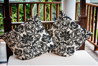 Alexys Polyester Indoor/Outdoor Pillow, Black, 20"x20"