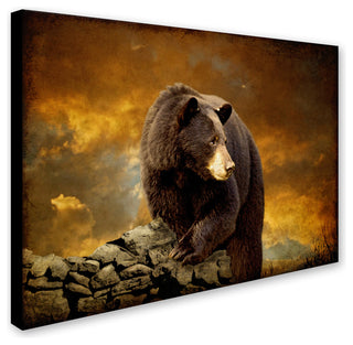 'The Bear Went Over the Mountain' Canvas Art by Lois Bryan
