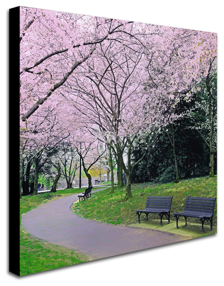 CATeyes 'Spring Path' Canvas Art, 35x35