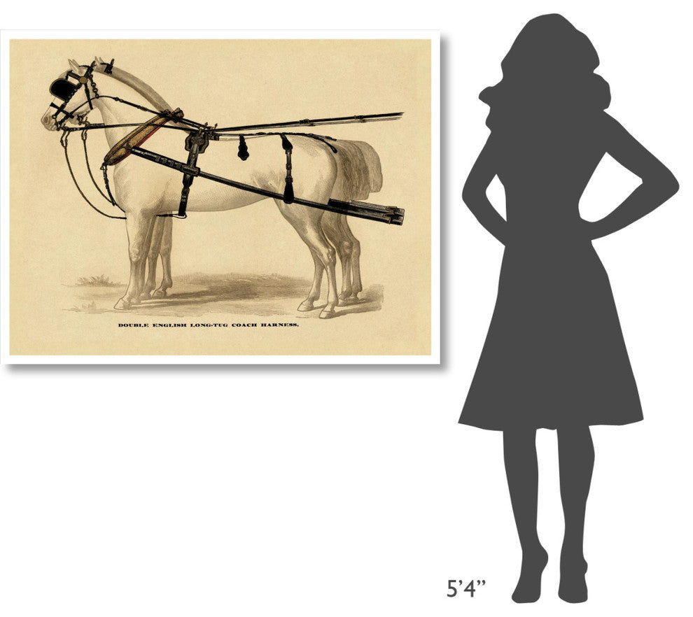 "Saddles and Tack: Double English Long-Tug Coach" Paper Art, 50"x38"