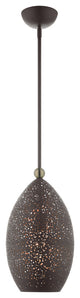 Livex Lighting Charlton 1 Light Bronze With Antique Brass Accents Pendant