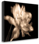 "Double Dappled II" By Charles Britt, Giclee Print on Gallery Wrap Canvas
