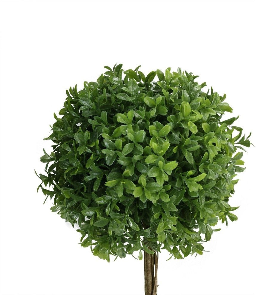 Close-up on a white background focusing on the leaf detail of the topiary.