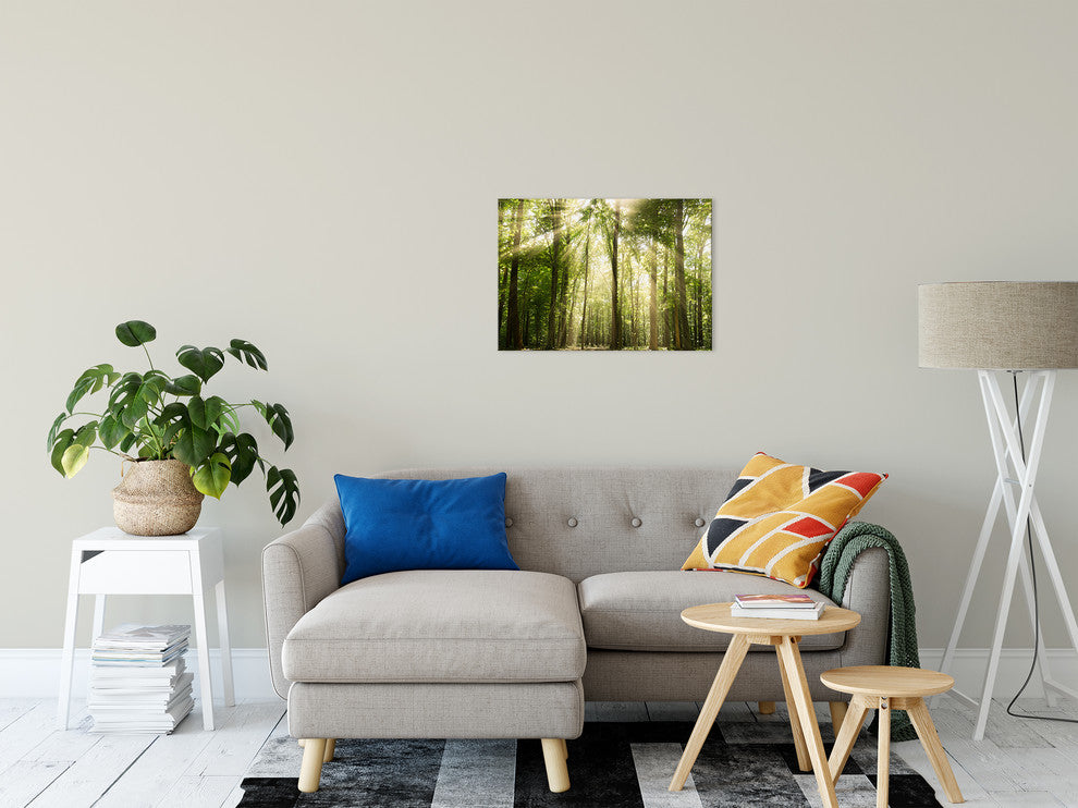 Sun Rays Through Tree Tops Rural Landscape Photo Canvas Wall Art Print, 18" X 24"