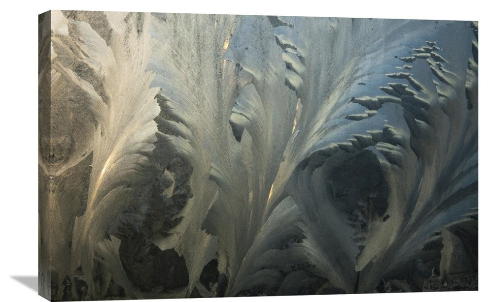 "Frost Crystal Patterns On Glass, Ross Sea, Antarctica" Artwork, 30" x 20"