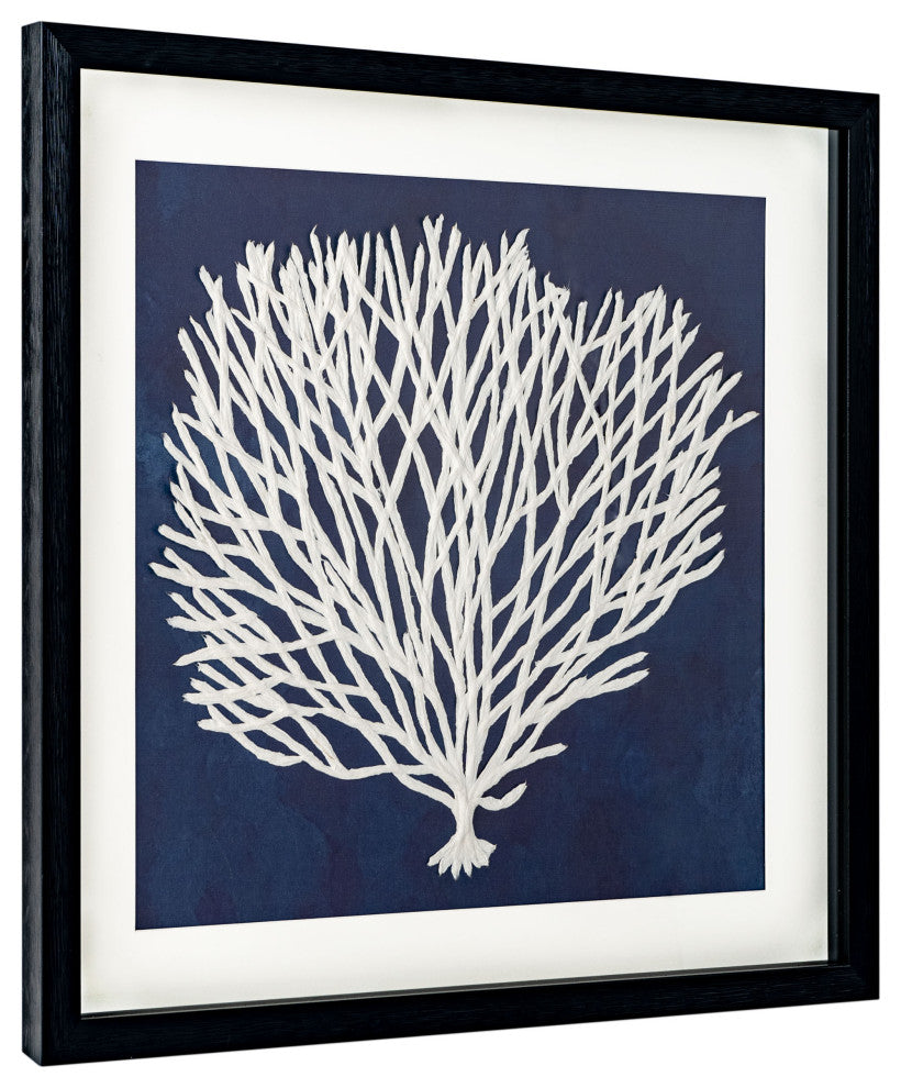 Sea Fan, Shadow Box, Sea Fan 1