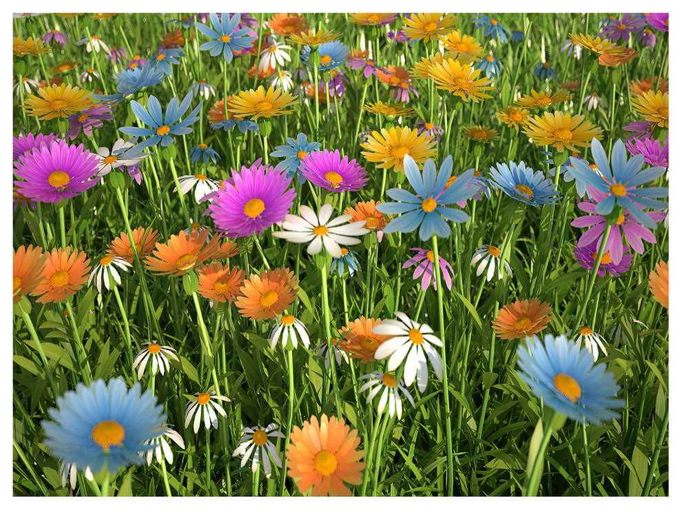 Different Color Flowers in Field, Floral Canvas Art Print, 40"x30"