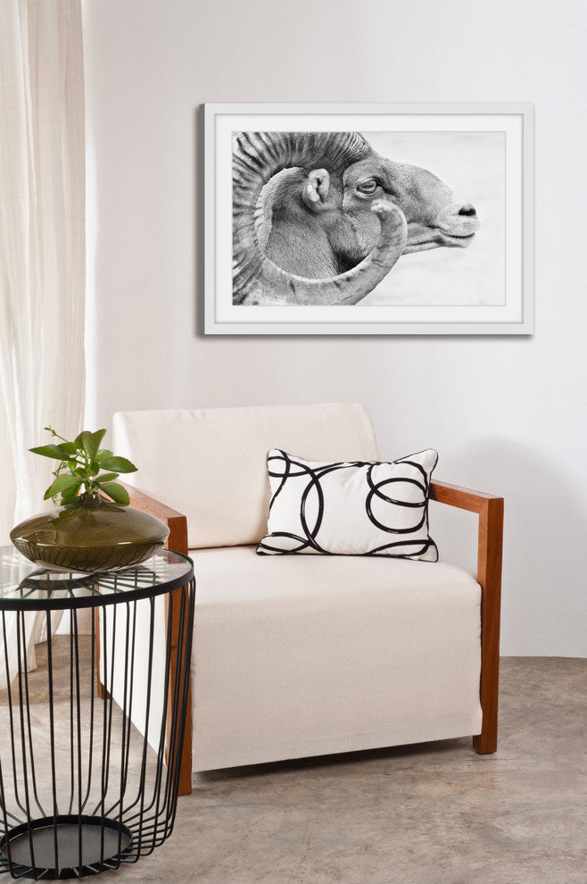 Marmont Hill, "Ram Profile 3" Framed Painting Print, 45x30