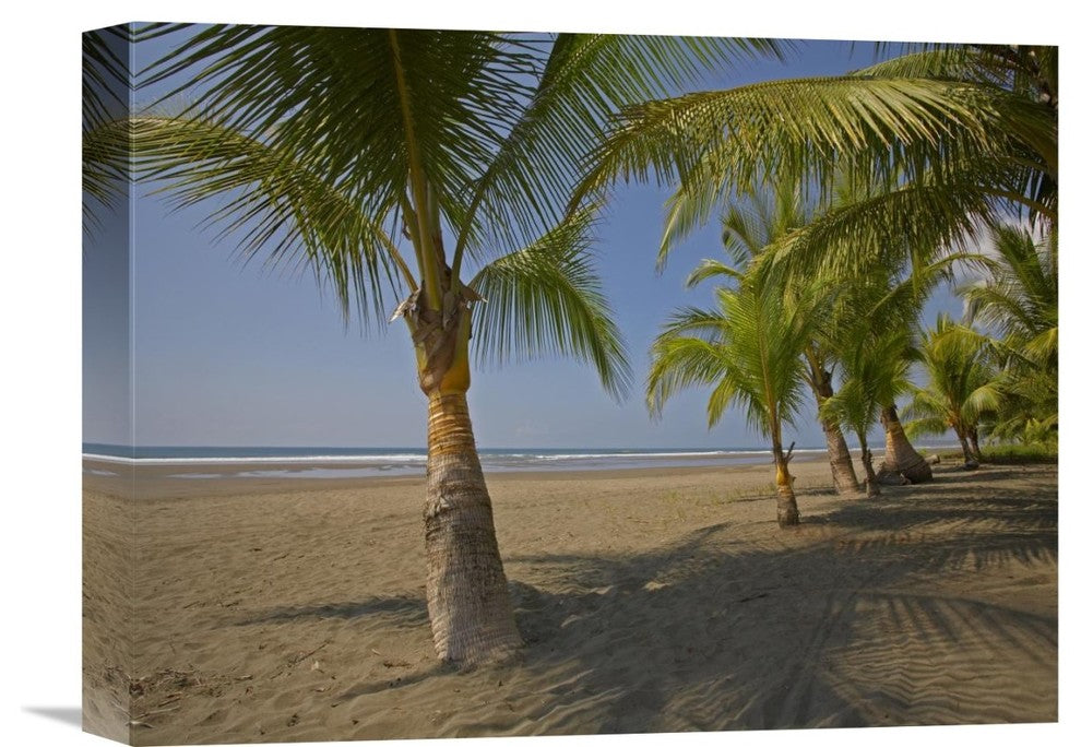 "Playa Esterillos Este, Puntarenas, Costa Rica" Artwork, 16" x 12"