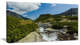 "Alpine Stream in High Mountains" Canvas Print