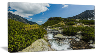 "Alpine Stream in High Mountains" Canvas Print