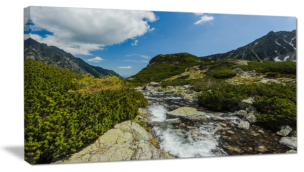 "Alpine Stream in High Mountains" Canvas Print