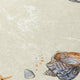Indoor/Outdoor Seabreeze SZ9 Ivory Machine Washable 9' x 12' Rug