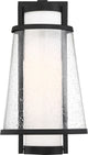 Nuvo Anau 1-Light Incandescent Matte Black Glass Wall Mount