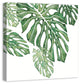 Green Tropical Leaves 30x30 Canvas Wall Art