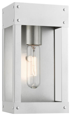 Barrett 1 Light Painted Satin Nickel Outdoor Wall Lantern