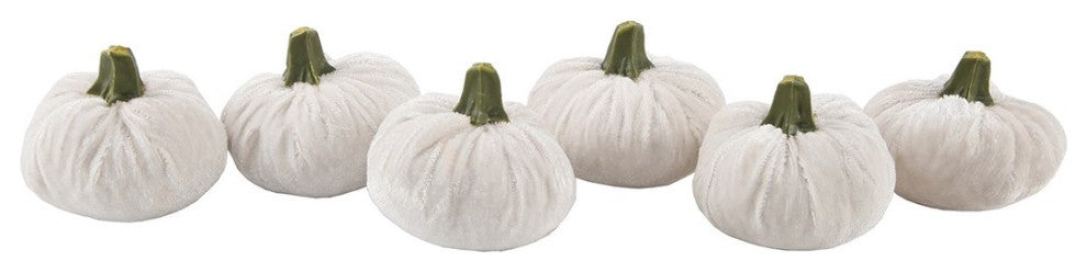 S/6 Cream Velvet Pumpkins In Box(Sm)