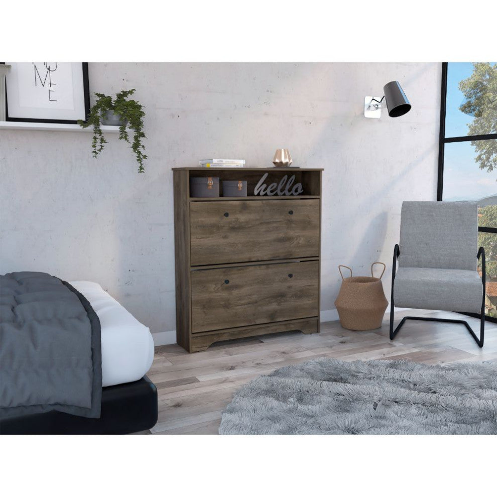 DEPOT E-SHOP Wayne Shoe Rack with 2 Doors, Dark Brown