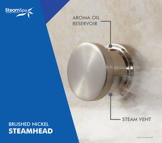 12kW QuickStart Steam Bath Generator With Dual Aroma Pump, Brushed Nickel