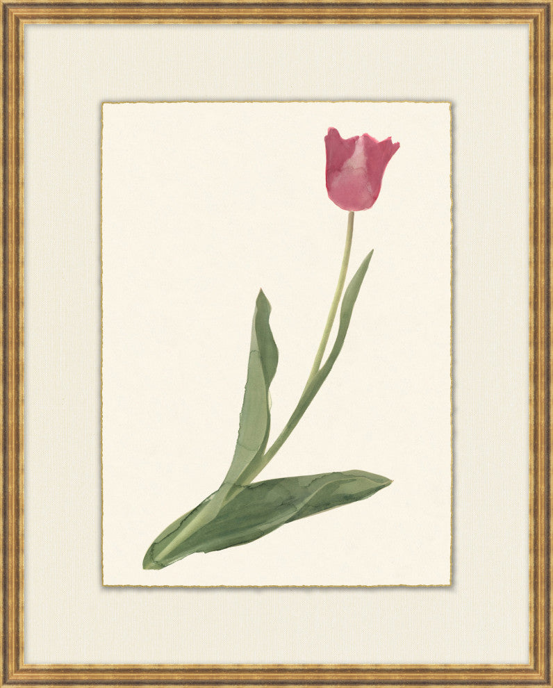 Spring Tulip 4, Giclee Reproduction Artwork