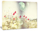 Red and White Poppy Flowers Field, Large Flower Canvas Art Print, 20"x12"
