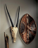 Gemsbok Wall Trophy