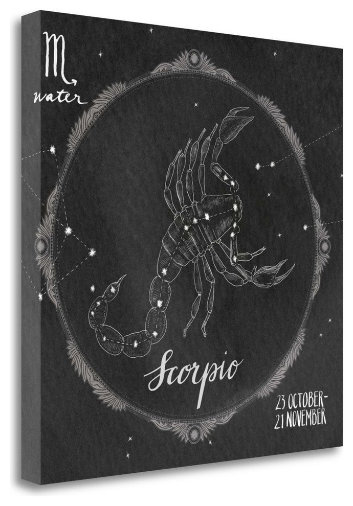 "Night Sky Scorpio" By Sara Zieve Miller, Giclee Print on Gallery Wrap Canvas