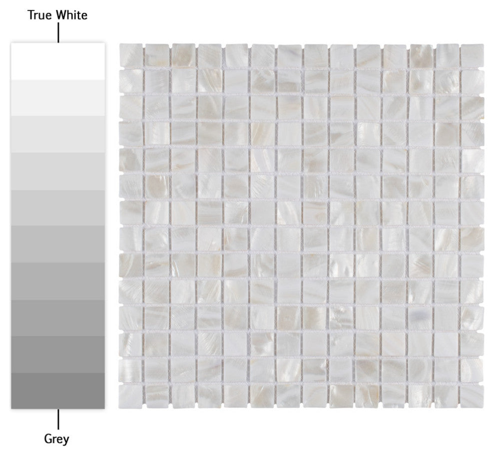 Conchella Square White Natural Shell Wall Tile