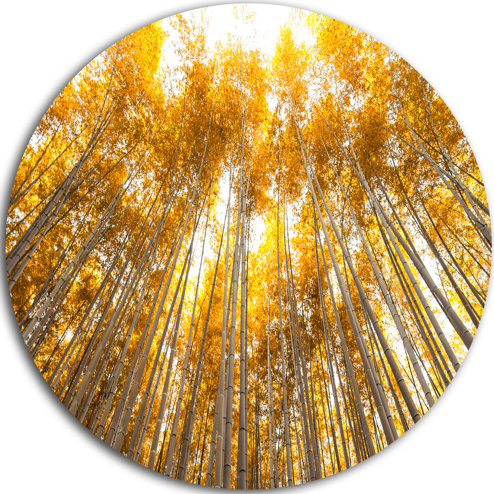Autumn Bamboo Grove In Yellow, Forest Round Wall Art, 36"