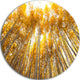 Autumn Bamboo Grove In Yellow, Forest Round Wall Art, 36"