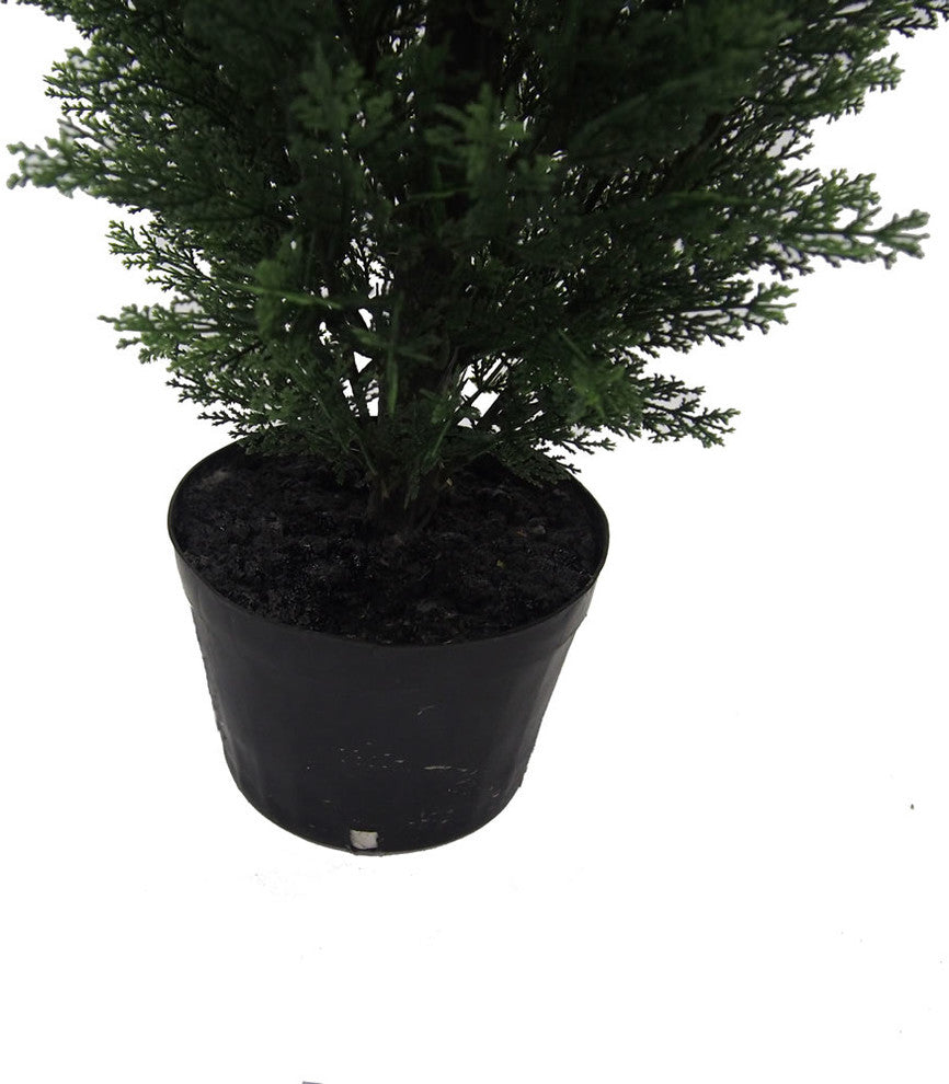 Alternate_white_close: white-background crop focusing on the lower portion and pot of the tree.