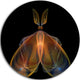 Orange Fractal Butterfly In Dark, Abstract Art Round Metal Artwork, 11"