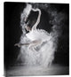"F L Y" Stretched Canvas Giclee by Yudhistira Yogasara, 19x22"