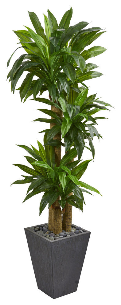 5.5' Cornstalk Dracaena Artificial Plant, Slate Planter, Real Touch