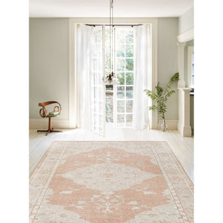 Tuscany Ana Area Rug, Blush, 8'x10'