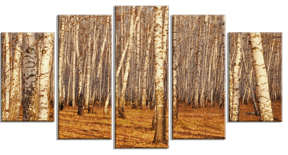 Dense Birch Forest in the Fall, Forest Canvas Art Print, 60"x32", 5 Panels